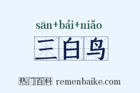 三白鸟是什么意思的图片